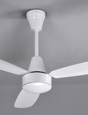 Ceiling Fans